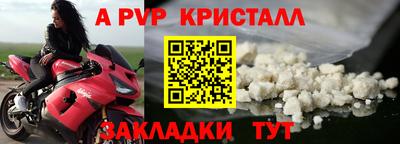 дурь Гай