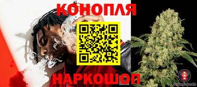 дурь Гай