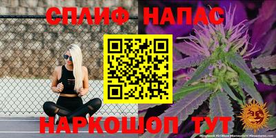 дурь Гай