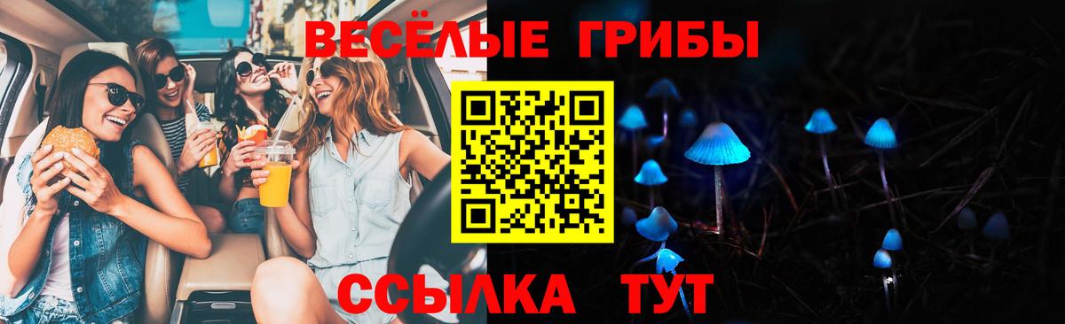 Галлюциногенные грибы Psilocybine cubensis  Вход с VPN  Псилоцибиновые грибы MAGIC MUSHROOMS  Светлоград 